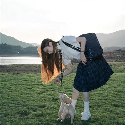 明月守护者